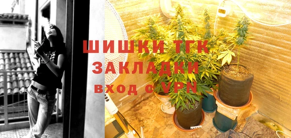 гашик Арсеньев