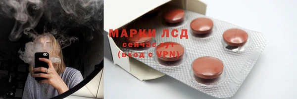 гашик Арсеньев