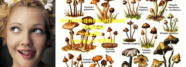 MDMA Premium VHQ Аркадак