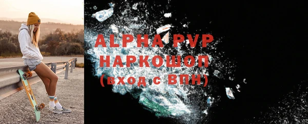 гашик Арсеньев