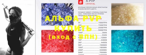 гашик Арсеньев