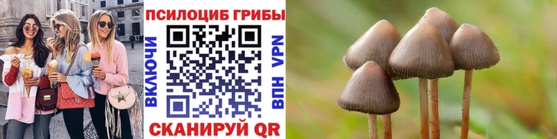 Галлюциногенные грибы MAGIC MUSHROOMS  Старый Крым 
